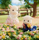 Goat Family - Sylvanian Families 5