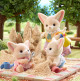 Fennec Fox Family de Sylvanian Family - 5